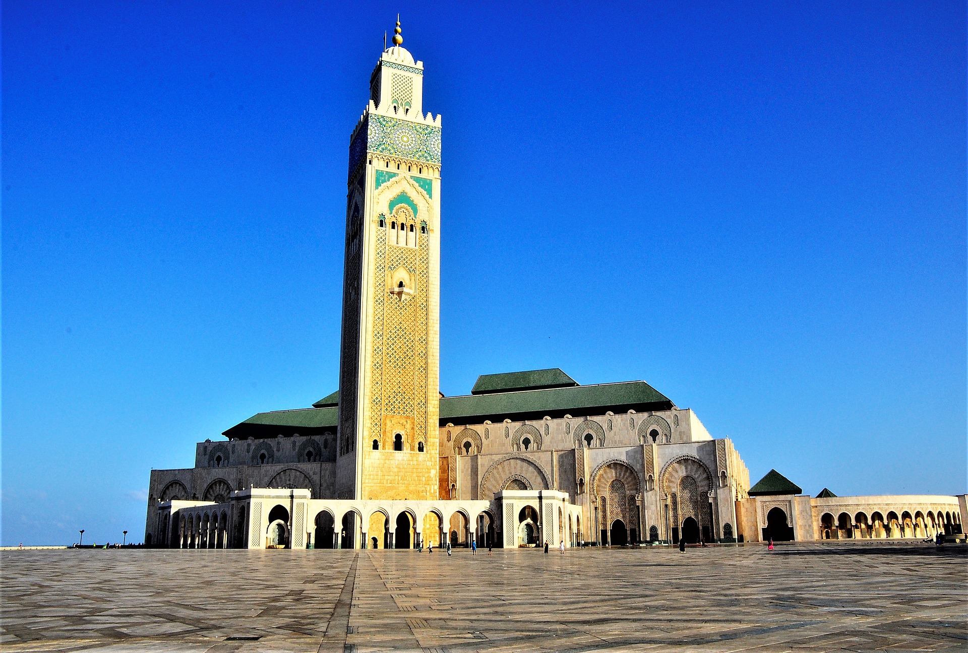 Desert tour from Casablanca with camels