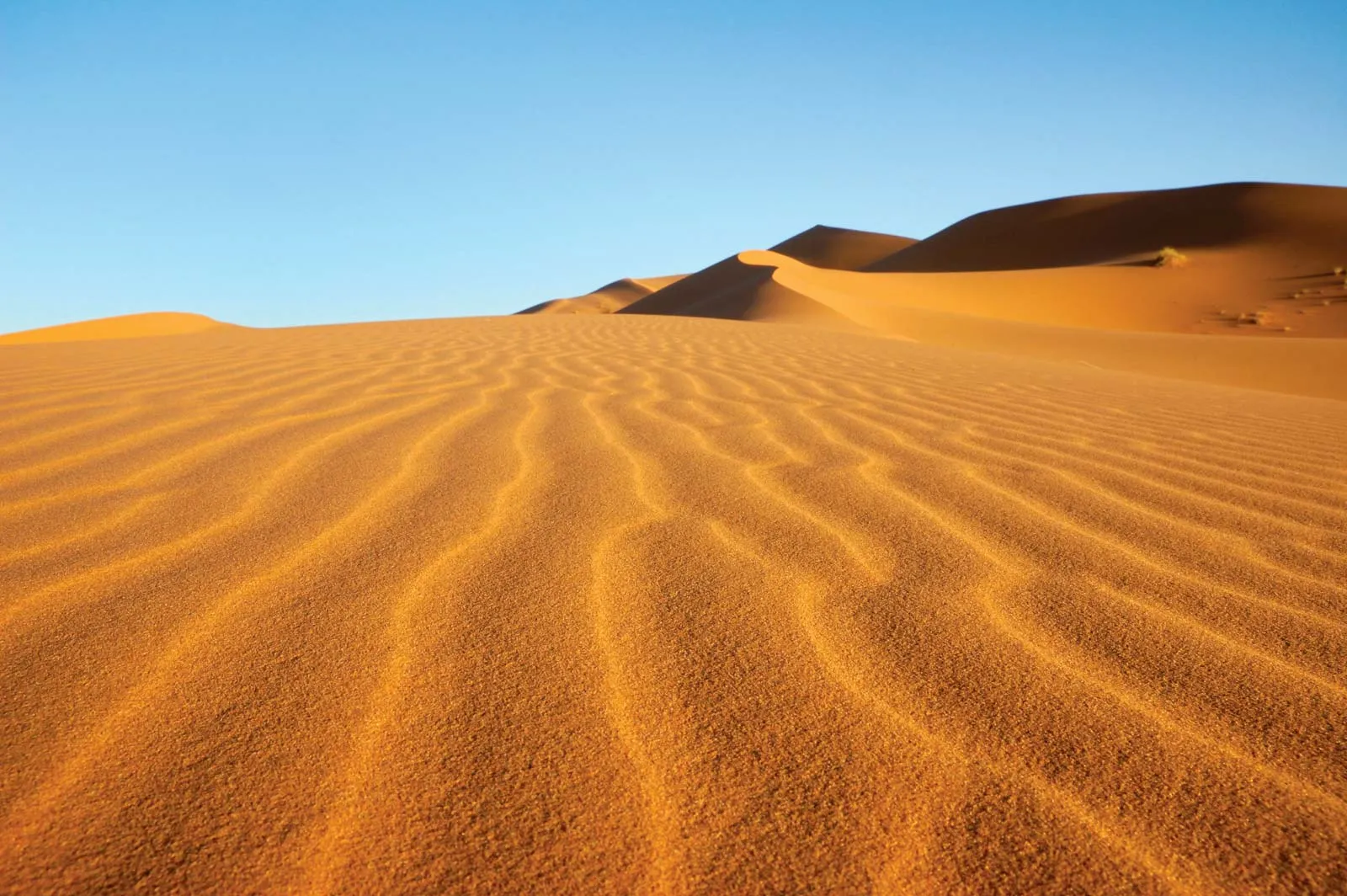Merzouga dunes at sunset