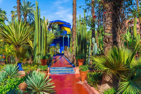 7 Days Desert Tour from Fes to Desert and Marrakech