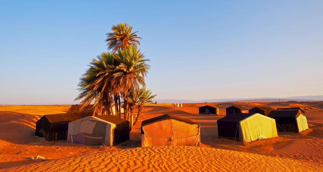 Desert camp and oasis
